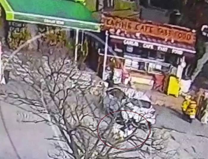 Beylikdüzü’nde Pitbull Cinsi Köpeğin Saldırısında Dehşet Anları Kameraya Yansıdı