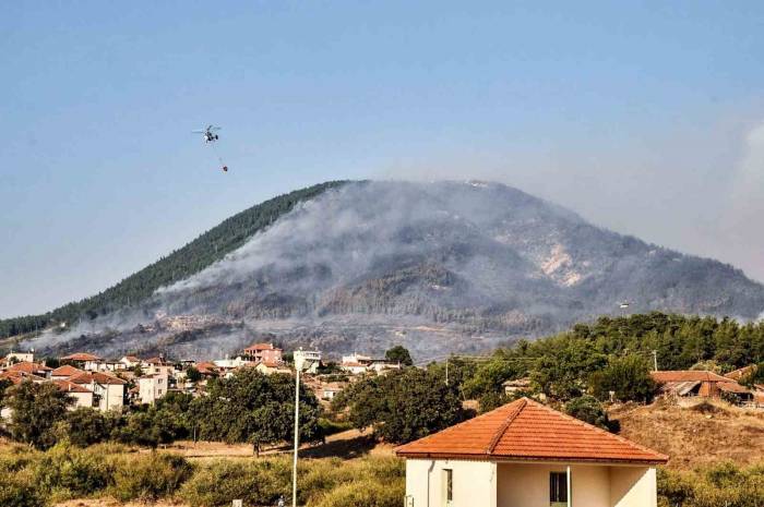 3 Gün Boyunca Yandı, Yeniden Orman Olması 30 Yıl Sürecek