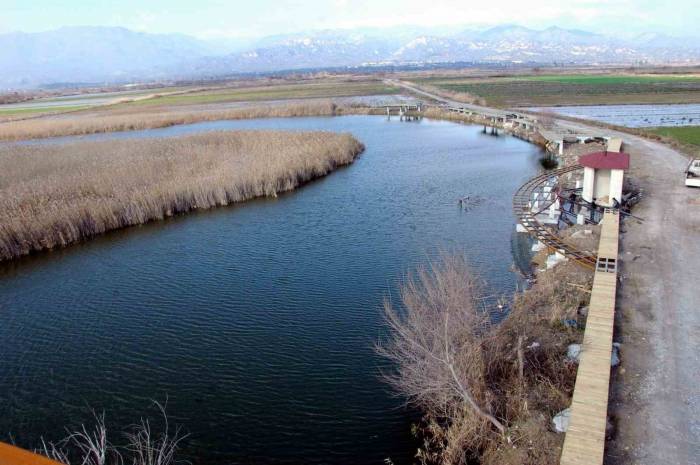 Turba Çıkarım Faaliyetleri İçin Yönetmelikte Değişikliğe Gidilecek