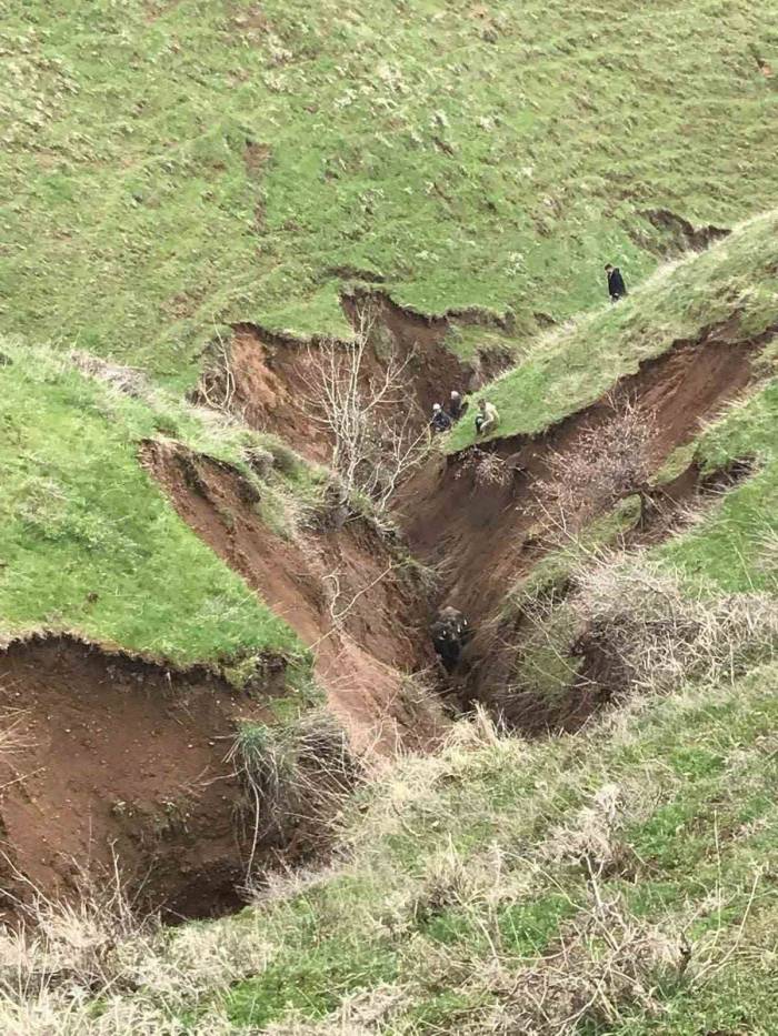 Güroymak’ta Toprak Kayması: Hayvanlar Vadiye Düştü
