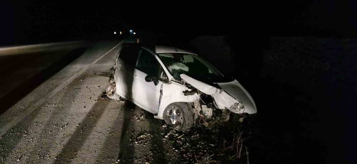 Köpeğe Çarpan Otomobili Görünce Manevra Yaptı, Aracıyla Şarampole Uçtu