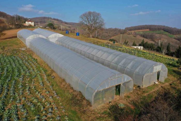 Çiftçilere Yüzde 50 Hibeli Modern Sera Desteği