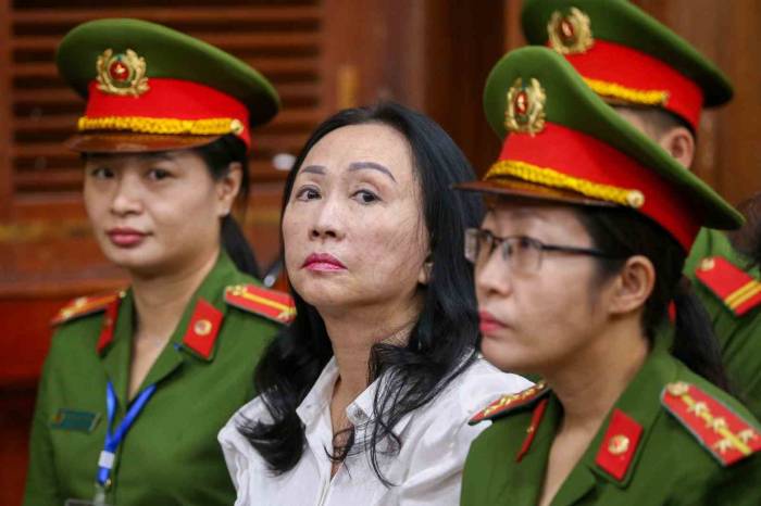 Vietnamlı Emlak Patronuna Dolandırıcılık Suçundan İdam Cezası