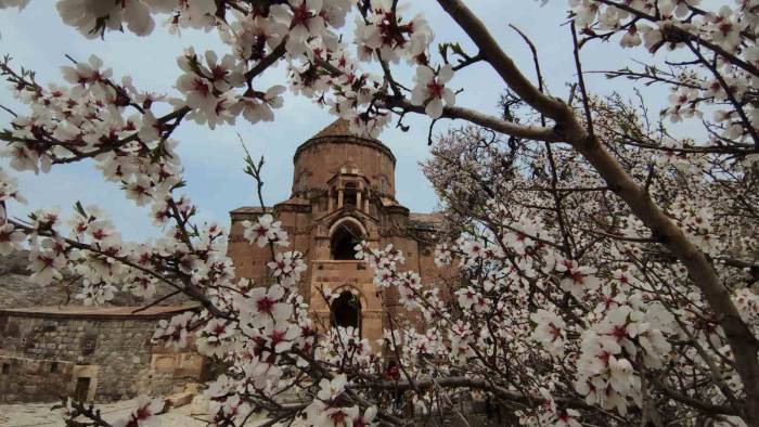 Akdamar Adası Renk Cümbüşüne Büründü