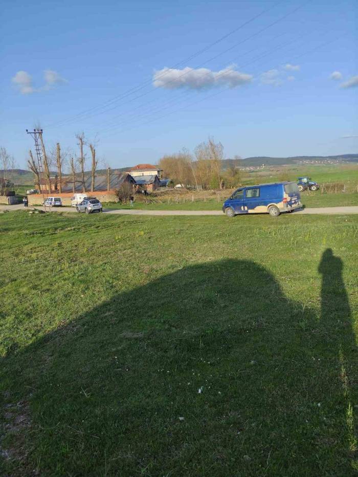 Kestiği Ağacın Altında Kalan Şahıs Öldü