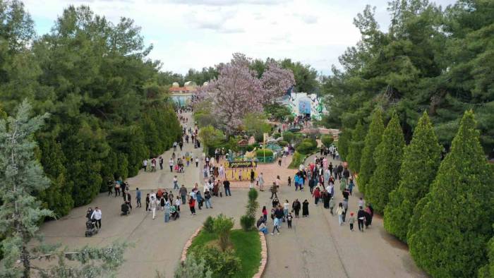 Gaziantep Doğal Yaşam Parkı’na Bayramda Ziyaretçi Akını