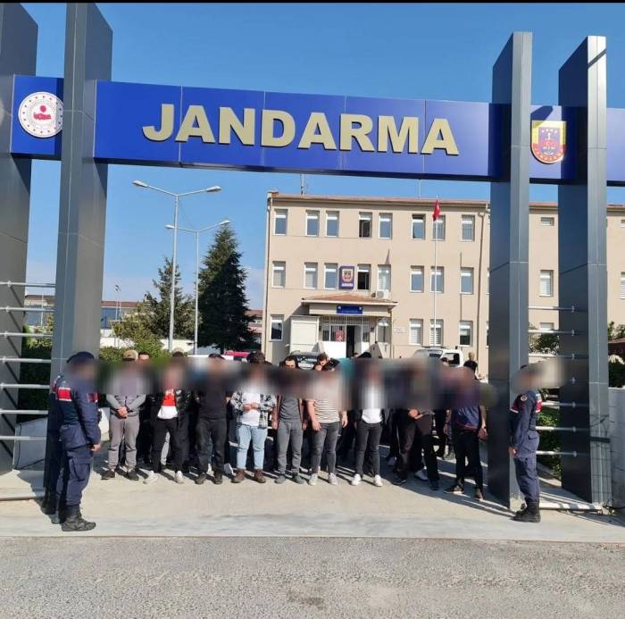 Lüleburgaz’da Köpek Dövüştüren 34 Kişiye Operasyon