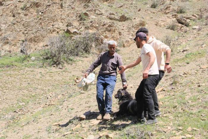 Ahır Olarak Kullanılan Mağaraya Kurtlar Dadandı: 30 Keçi Ve 30 Oğlak Telef Oldu