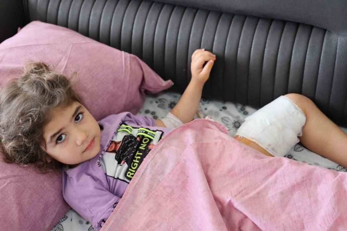 Köpeğin Isırdığı Kız Çocuğu: "Köpek De Sahibi De Tutuklansın"