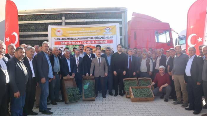 Besni’de Çiftçiye 360 Bin Adet Fide Dağıtıldı