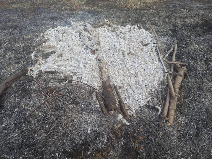 Küçük Bir Dikkatsizlik Sonucu Çıkan Orman Yangını Korkuttu