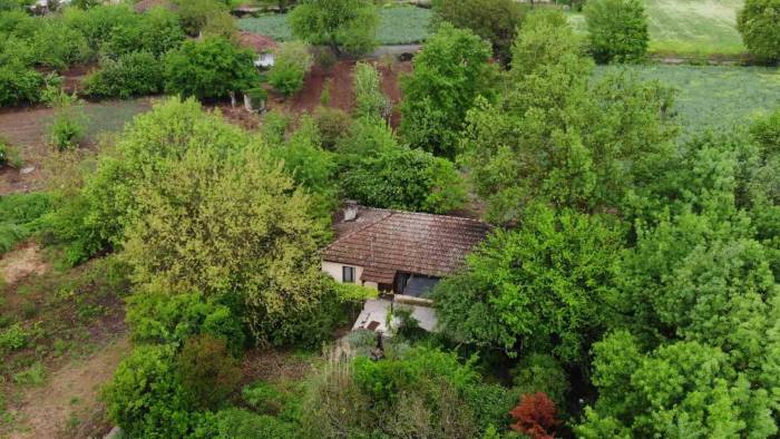 ’berzeg Sendromu’ Mahalleyi Boşalttı