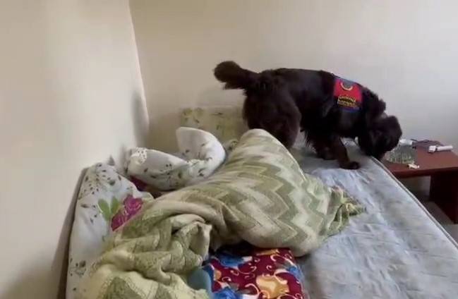 Jandarmadan Uyuşturucu Operasyonu