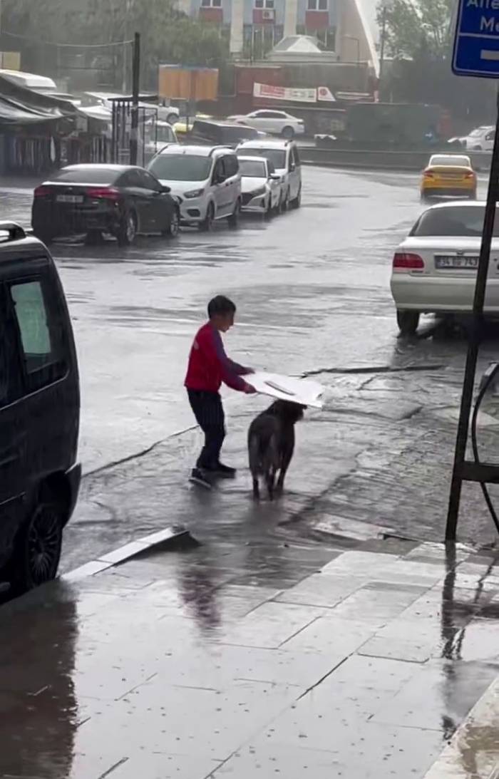 Küçük Çocuktan Yağmur Altında İnsanlık Dersi