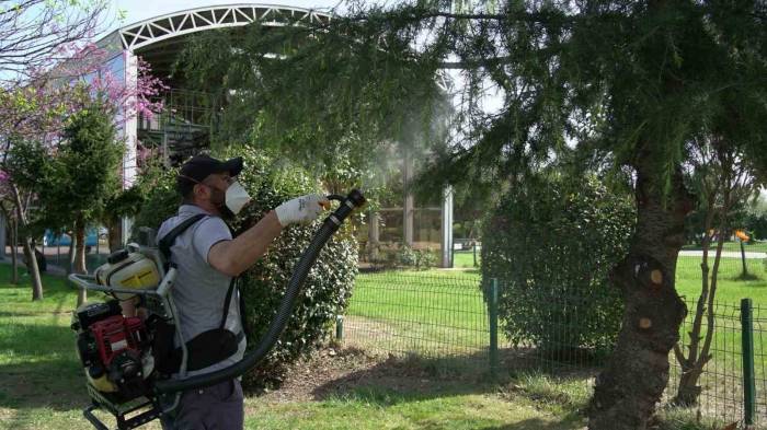 Samsun’da 25 Bin Noktada Vektörle Mücadele