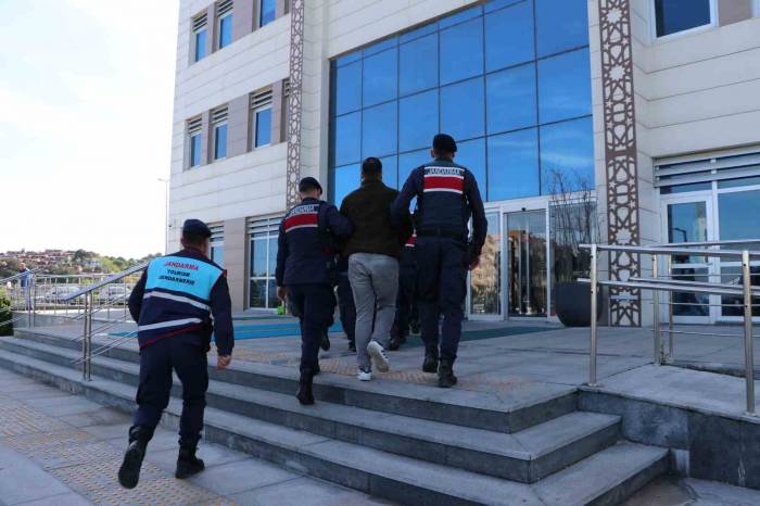 Çanakkale’de Öldürüldü, Bursa’daki Kimsesizler Mezarlığından Çıktı