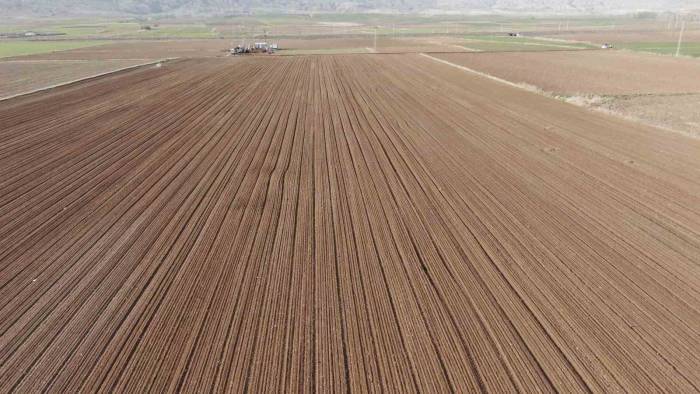 Dubai’ye Gönderilmek Üzere Sivas’ta Toprakla Buluşturuldular