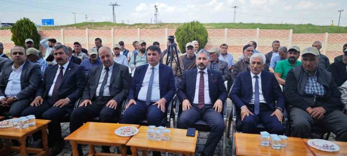 Elazığ’da Trabzon Hurması Fidan Dağıtımı Gerçekleşti