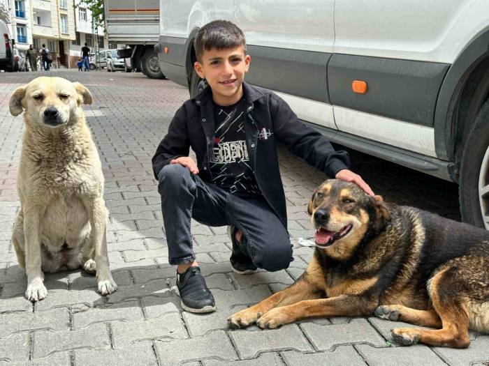 Yağmurda Köpeği Islamaktan Koruyan Ayaz O Anları Anlattı