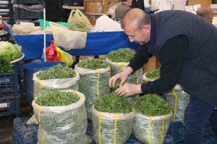 Sivaslı Kadınlar Artık Madımak Toplamak Yerine Pazardan Satın Alıyor