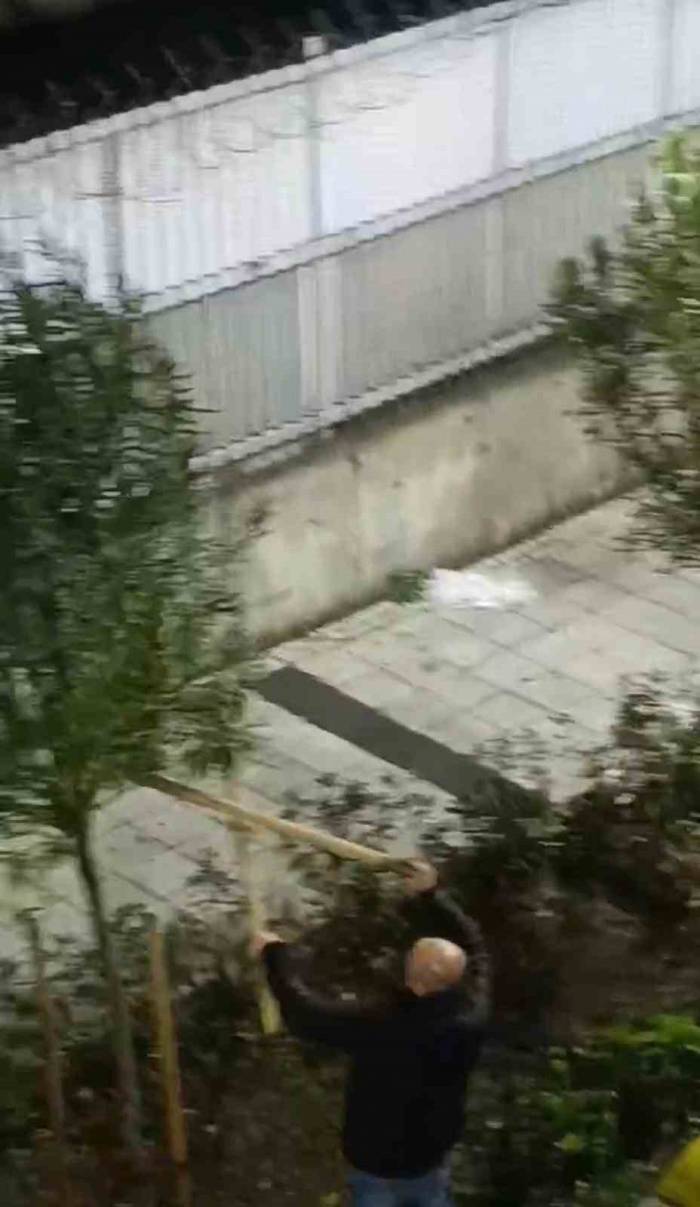 İstanbul’da Bir Şahıs Tahtaları Söküp Saldırdığı Ağaçla Kavga Etti: O Anlar Kamerada