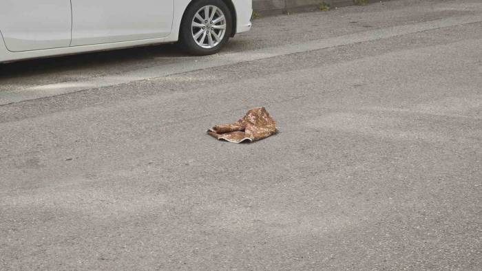 Tokat’ta Minibüsün Altında Kalan Çocuk Hayatını Kaybetti