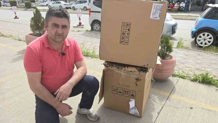 Toz Bulutu Sandılar, Gerçek Sonra Anlaşıldı