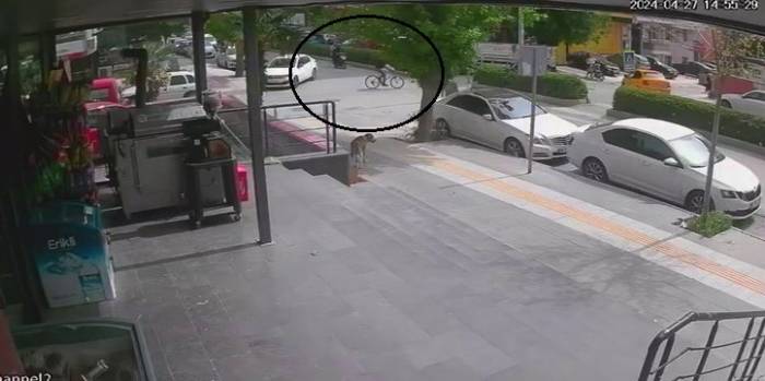 Motosiklet Ve Bisiklet Çarpıştı: 3 Yaralı