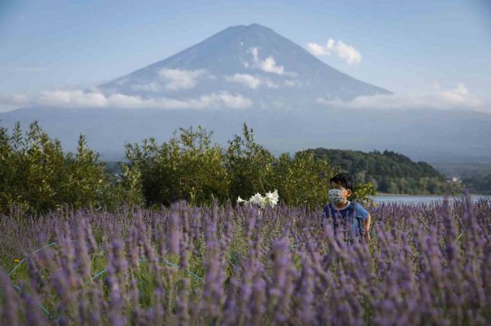 Fuji Dağı’na Turist Önlemi: Fotoğraf Noktalarına Bariyer Çekilecek
