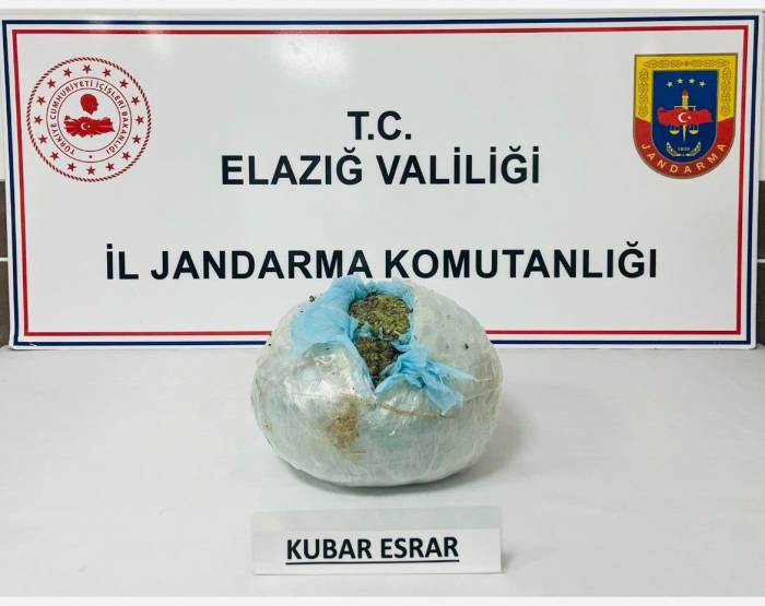 Elazığ’da Uyuşturucuya Geçit Yok: 1 Tutuklama