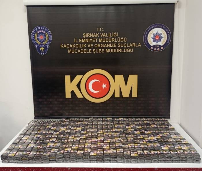 Şırnak’ta Asayiş Ve Terör Operasyonu: 46 Gözaltı