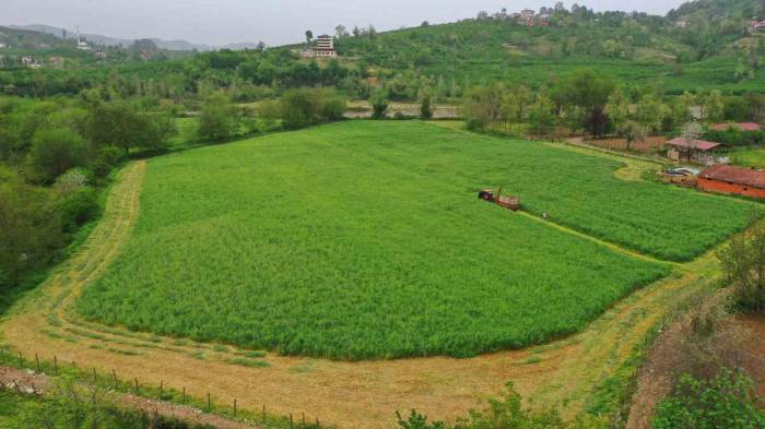 Ordu’da Büyükşehrin Tarım Makineleri Çalışıyor