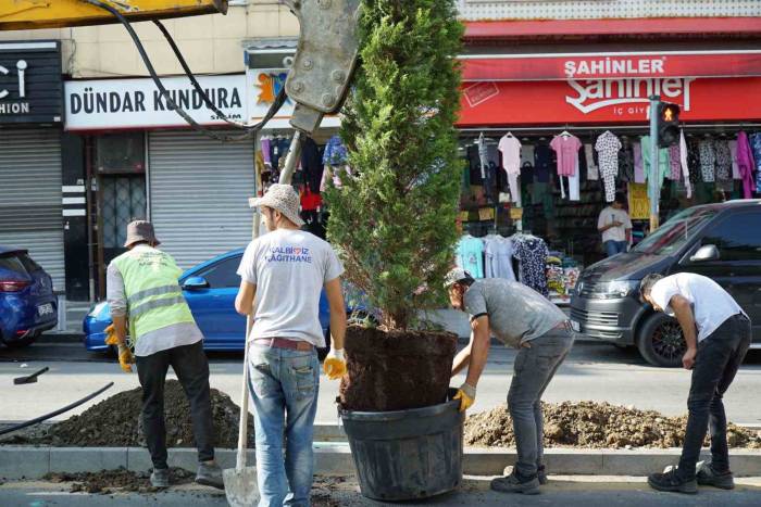 Kağıthane Belediyesi İlçeye 60 Bin Ağaç Kazandırdı