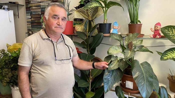 Çiçekçilerden Yazlık Bakım Uyarısı