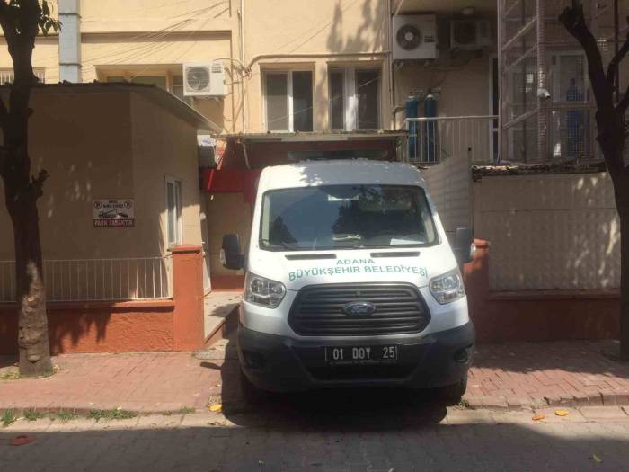 Adana’da Köpek Sürüsü Yaşlı Kadını Parçaladı