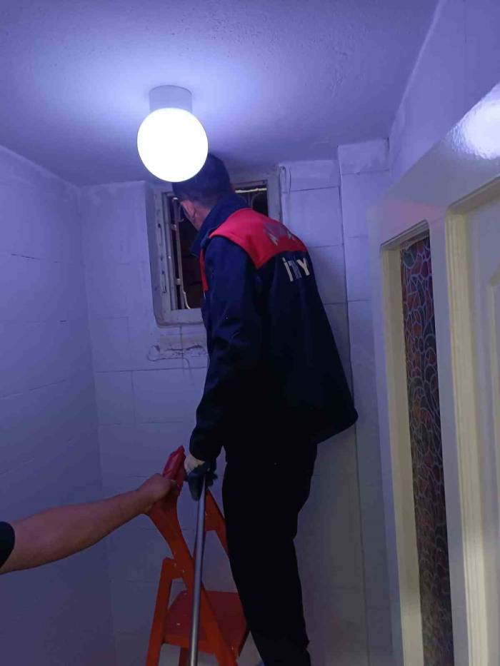 Havalandırma Boşluğunda Doğum Yapan Anne Kedi Ve 3 Yavrusu Kurtarıldı