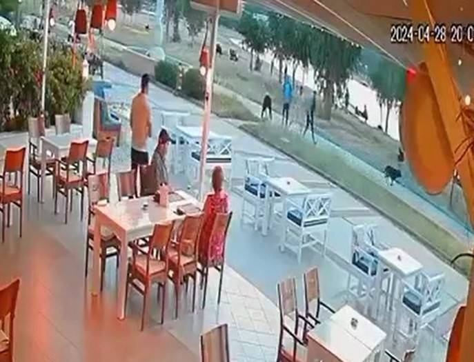 Didim’de Sokak Köpeği Çocuğa Saldırdı