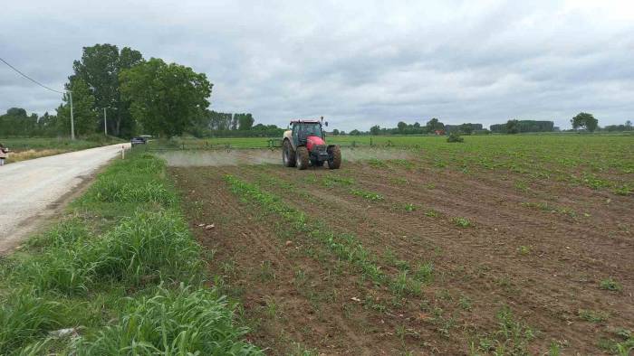 1 Mayısta Onlar Çalışmaya Devam Ettiler