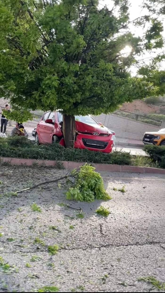 Elazığ’da Otomobil Ağaca Çarptı: 3 Yaralı