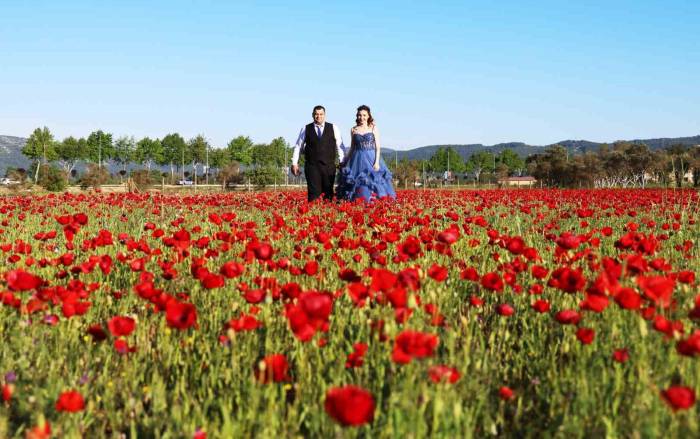 Gelinler, ‘Gelincik’ Tarlasına Akın Etti