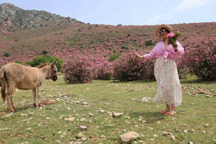 Kozan Dağları Zakkumların Çiçek Açmasıyla Pembeye Büründü