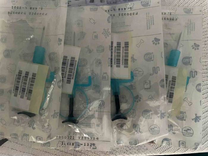 İstanbul’da Hayvan Kaçakçılığı Operasyonu: 565 Egzotik Hayvan Ele Geçirildi, 36 Kişi Yakalandı