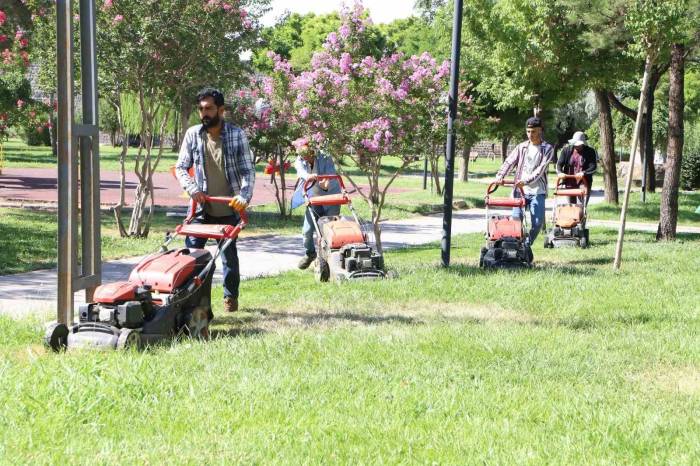 Diyarbakır’da 3 Milyon 755 Bin Metrekarelik Yeşil Alan Elden Geçirildi