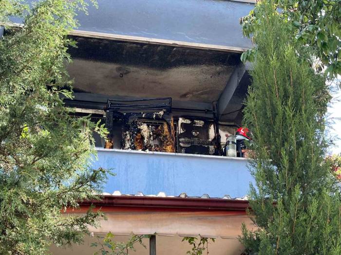 Kümes Isıtıcısı Yangın Çıkardı: 25 Civciv Telef Oldu