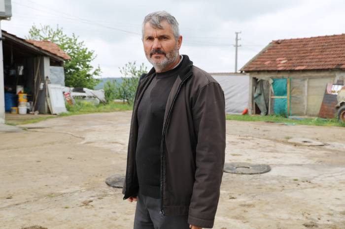 Başıboş Köpekler, 60’dan Fazla Tavuk Ve Ördek Yavrusunu Telef Etti