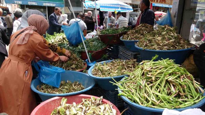 Sofraların Vazgeçilmesi Otlu Peynire Tat Veren Bitkilere Büyük İlgi