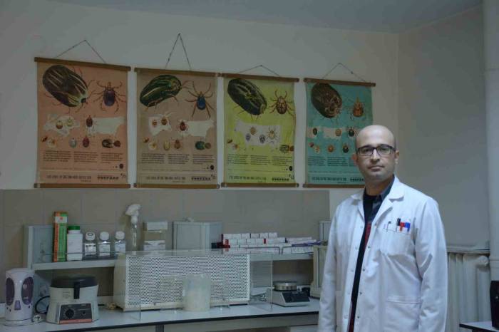 Keneden Korunmak İçin Günlük Vücut Kontrolü Yapmalı