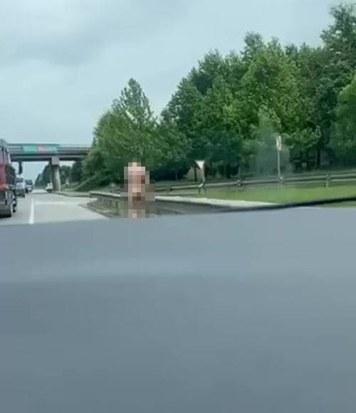 Kocaeli’de İlginç Görüntü: Karayolunda Çırılçıplak Dolaştı