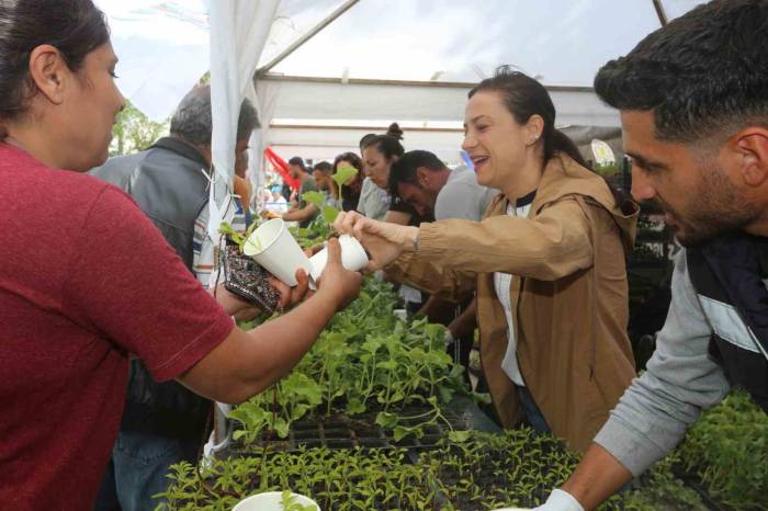 Selçuk Belediyesi Atalık Tohumlardan Ürettiği Fideleri Halkla Buluşturdu