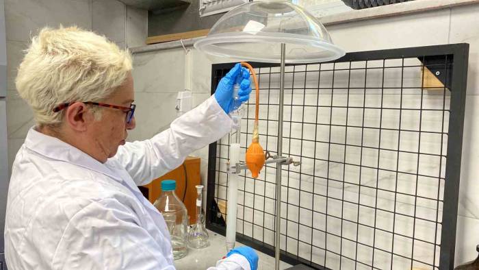 Prostat Ve Meme Kanserinde Umut Işığı